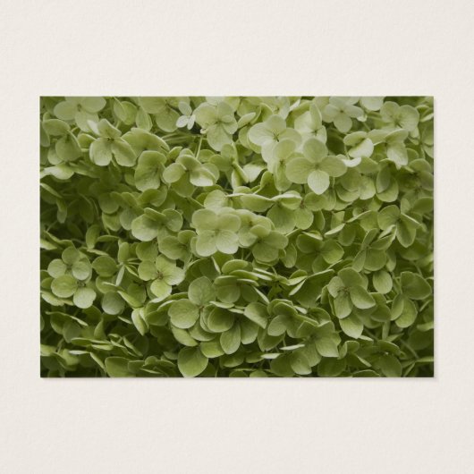 Green Annabelle Hydrangea Wedding Charity Favors Visitekaartjes (Achterkant)