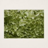 Green Annabelle Hydrangea Wedding Charity Favors Visitekaartjes (Achterkant)