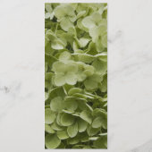 Green Annabelle Hydrangea Wedding Programme Programmakaart (Achterkant)