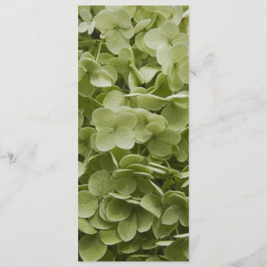 Green Annabelle Hydrangea Wedding Programme Programmakaart (Achterkant)