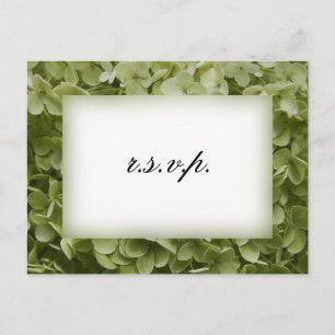 Green Annabelle Hydrangea Wedding RSVP Uitnodiging Briefkaart