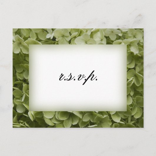 Green Annabelle Hydrangea Wedding RSVP Uitnodiging Briefkaart (Voorkant)