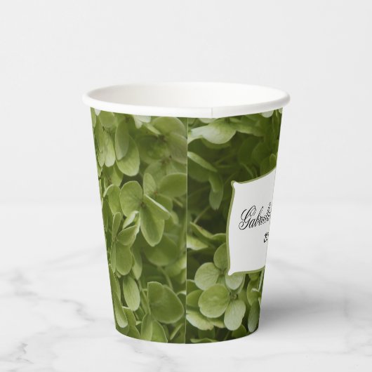 Green Annabelle Hydrangeas Weddenschap Papieren be Papieren Bekers (Rechts)