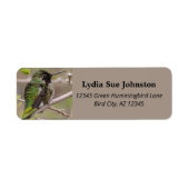 Green Anna's Hummingbird op Mesbest Tree Branch Etiket (Voorkant)