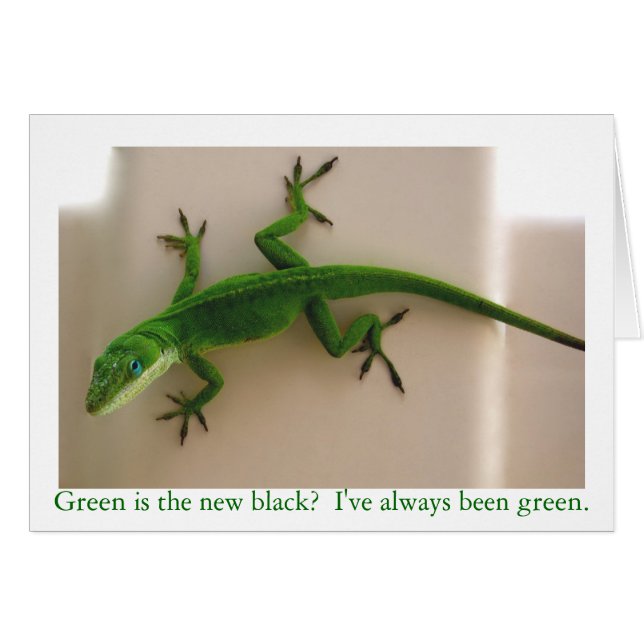 Green Anole (Voorkant Horizontaal)