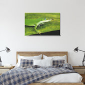 Green Anole, Anolis carolinensis, volwassen op pal Canvas Afdruk (Insitu (Slaapkamer))