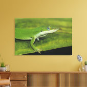 Green Anole, Anolis carolinensis, volwassen op pal Canvas Afdruk (Insitu (Woonkamer))
