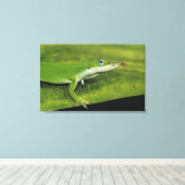 Green Anole, Anolis carolinensis, volwassen op pal Canvas Afdruk (Insitu (Houten vloer))