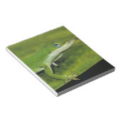 Green Anole, Anolis carolinensis, volwassen op pal Notitieblok (Schuin)