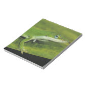 Green Anole, Anolis carolinensis, volwassen op pal Notitieblok (Linkerzijde)