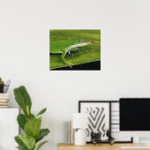 Green Anole, Anolis carolinensis, volwassen op pal Poster (Thuiskantoor)