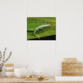 Green Anole, Anolis carolinensis, volwassen op pal Poster (Keuken)