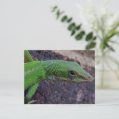 Green Anole Briefkaart (Staand voorkant)