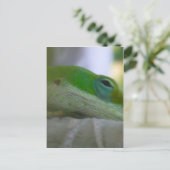 Green Anole Lizard Briefkaart (Staand voorkant)