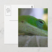 Green Anole Lizard Briefkaart (Voorkant / Achterkant)
