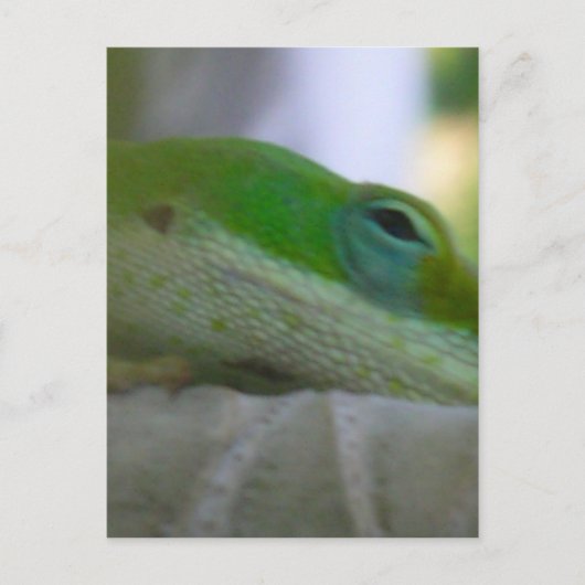 Green Anole Lizard Briefkaart (Voorkant)