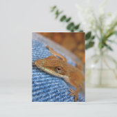 Green Anole Lizard Briefkaart (Staand voorkant)