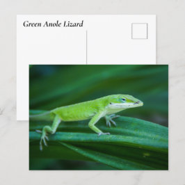 Green Anole Lizard Briefkaart