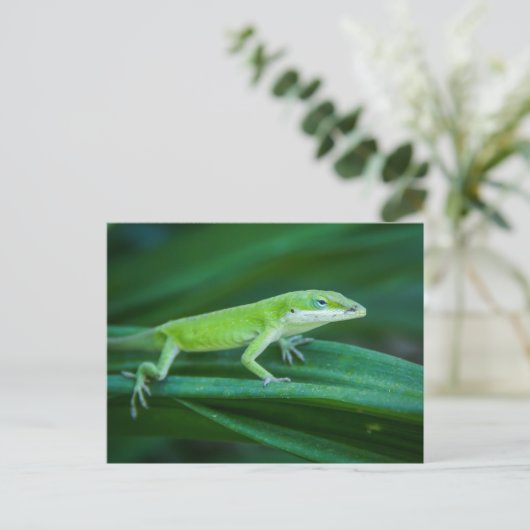 Green Anole Lizard Briefkaart (Staand voorkant)