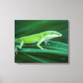 Green Anole Lizard Canvas Afdruk (Voorkant)