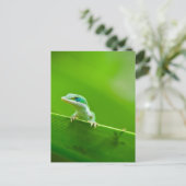 Green Anole Lizard Encounter Art Photography Briefkaart (Staand voorkant)