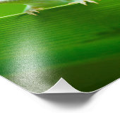 Green Anole Lizard Encounter Art Photography Foto Afdruk (Hoek)