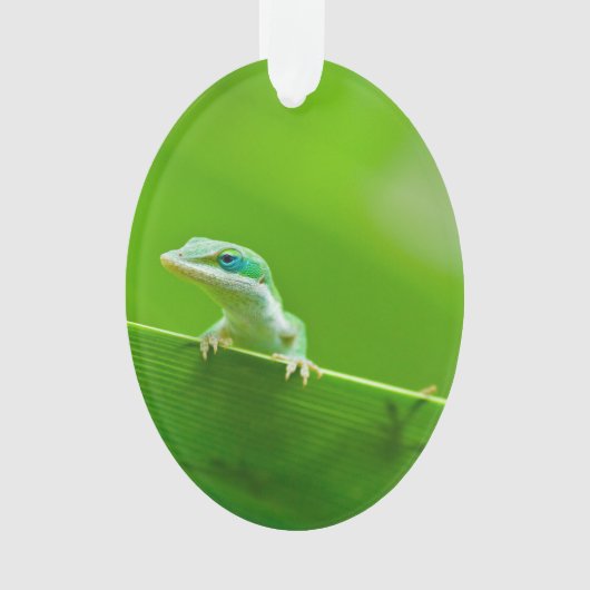 Green Anole Lizard Encounter Ornament (voorkant)