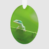 Green Anole Lizard Encounter Ornament (achterkant)