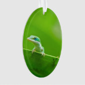 Green Anole Lizard Encounter Ornament (voorkant)