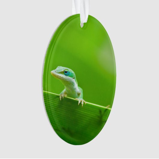 Green Anole Lizard Encounter Ornament (voorkant)