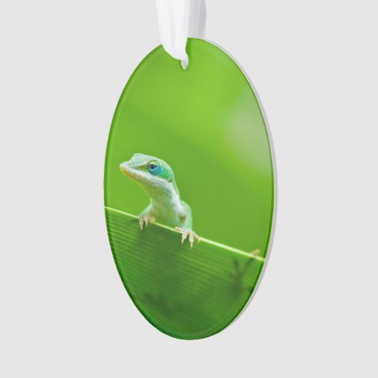 Green Anole Lizard Encounter Ornament (voorkant)