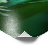 Green Anole Lizard Foto Afdruk (Hoek)