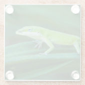 Green Anole Lizard Glazen Onderzetter (Achterkant)