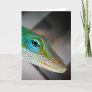 Green Anole Lizard Kaart