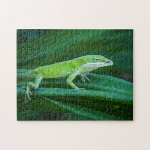 Green Anole Lizard Legpuzzel