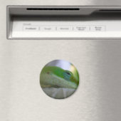 Green Anole Lizard Magneet (Insitu (Vaatwasser))