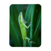 Green Anole Lizard Magneet (Verticaal)