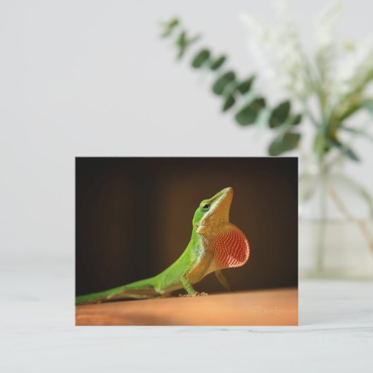 Green Anole Lizard met Red Thraot Briefkaart (Staand voorkant)