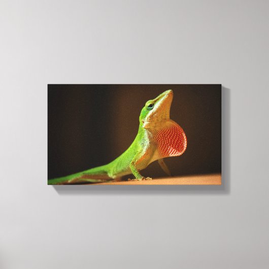 Green Anole Lizard met Red Thraot Canvas Afdruk (Voorkant)