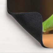 Green Anole Lizard met Red Thraot Muismat (Hoek)