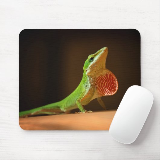 Green Anole Lizard met Red Thraot Muismat (Met muis)