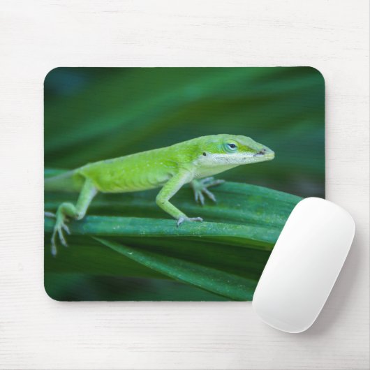 Green Anole Lizard Muismat (Met muis)