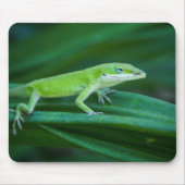 Green Anole Lizard Muismat (Voorkant)