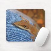 Green Anole Lizard Muismat (Met muis)