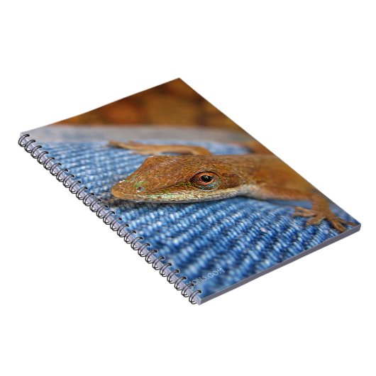 Green Anole Lizard Notitieboek (Rechterzijde)