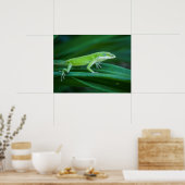 Green Anole Lizard Poster (Keuken)
