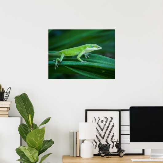 Green Anole Lizard Poster (Thuiskantoor)
