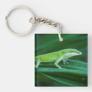 Green Anole Lizard Sleutelhanger