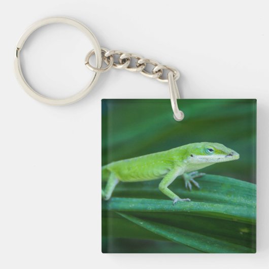 Green Anole Lizard Sleutelhanger (voorkant)