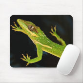 Green Anole Muismat (Met muis)